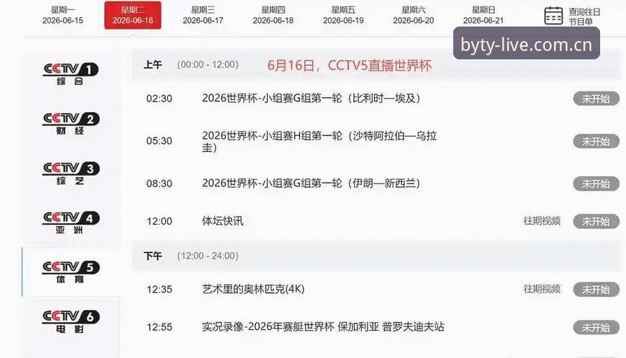 资深用户深度解析：世界杯观赛签证危机背后的政治博弈与旅行困局
